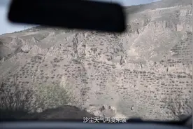 900公里的守护视频封面