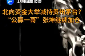 北向资金大举减持贵州茅台？“公募一哥”张坤继续加仓视频封面