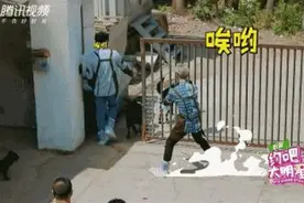 五一起，新动物防疫法实施！除了遛狗不栓绳，这些行为也要注意图片