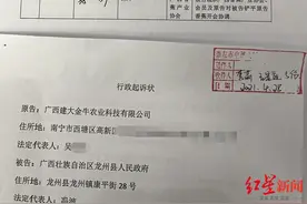 广西龙州“减蕉增蔗”被指“灭蕉”：数百亩即将挂果蕉林被铲，县政府被起诉图片