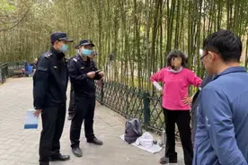 夺笋啊！游客公园私挖竹笋20多支被罚图片