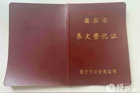 朋友圈丨狗证热，派出所一天办了两个月的量图片