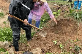 省农科院果树所送技术下乡，建议村民改种优质水果图片