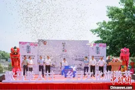 侨乡广东恩平歇马村百万朵勒杜鹃绽放迎“五一”图片
