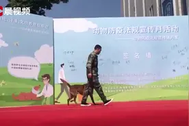 防疫知识进万家！《动物防疫法》5月1日正式实施视频封面