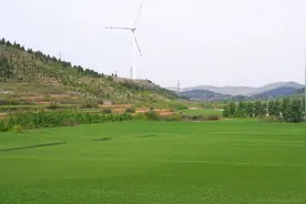 醉美长清｜田园风光无限好，五一来长清享受一段慢时光图片