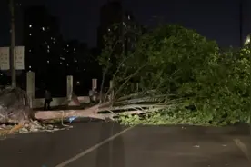 江苏南通出现冰雹和大范围雷暴大风 最大风力14级图片