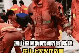 凉山消防员灭火高兴得像孩子，网友却心疼哭了图片