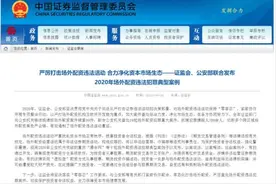 震惊A股！杠杆最高10倍、602人被捕！证监会严打场外配资，十起典型案件曝光，最高涉案达550亿图片