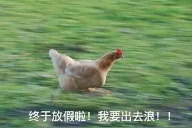 五一假期第一天，熟悉的感觉回来了图片