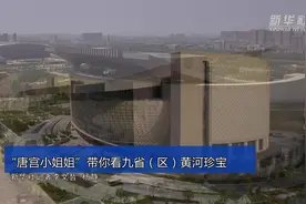 “唐宫小姐姐”带你看九省（区）黄河珍宝视频封面