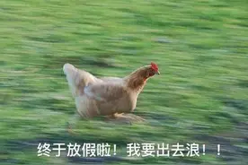 五一假期第一天，熟悉的感觉回来了图片