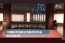 中国美术馆展出沈鹏诗书作品视频封面