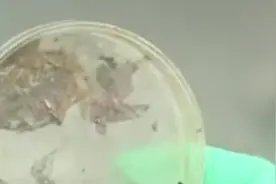 我国科学家发现能降解塑料菌群：垃圾能变成微生物“食物”视频封面