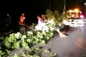 江苏遭遇极端大风，已致13688人受灾视频封面