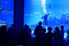 69秒丨厉害！潜水员水下表演川剧变脸：推广国粹 让更多人看到图片