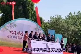 五一恰逢槐花节，延津52名乡镇干部为农民“站台带货”图片