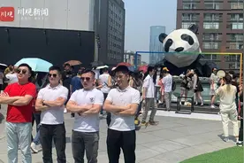 视频︱顶着烈日排长队，只为打卡天台大熊猫图片