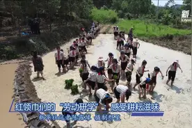 红领巾们的“劳动研学”：感受耕耘滋味视频封面