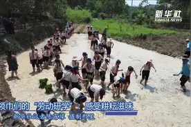 红领巾们的“劳动研学”：感受耕耘滋味视频封面