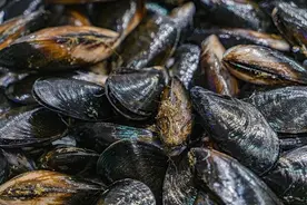 已致多人中毒！紧急提醒：这种常见海鲜近期勿食图片
