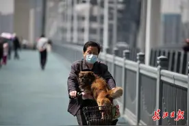 汉江湾桥通车，市民上桥打卡｜行摄武汉图片