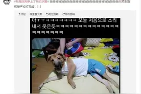 我爸给狗穿上了我的衣服：同一个世界，同一个爸妈图片