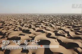 穿沙“气龙”有“卫士”视频封面