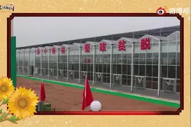 习声回响｜光荣属于劳动者 幸福属于劳动者视频封面