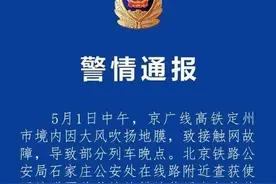 铁路警方通报“京广高铁晚点”原因：大风吹扬地膜导致图片