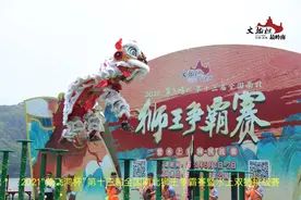 全国狮王争霸赛西樵开幕！南狮vs北狮，谁是你最爱？图片