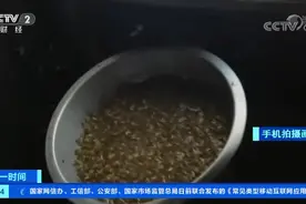 白蚁疯狂来袭！整个屋子围满，看不清路！不仅仅钻耳洞、鼻孔...图片