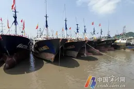 伏休前最后一批渔获上岸 奉化桐照码头市民赶集选购“热气货”图片