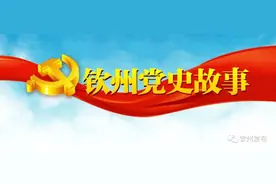 夜读，《钦州党史故事汇》| 风疾雨骤党旗红图片