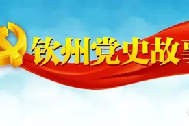 夜读，《钦州党史故事汇》| 白石水武装起义琐记图片