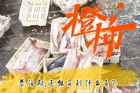 被抢光！5月1日禁渔期第一天 舟山码头的鲜鱼没货了图片