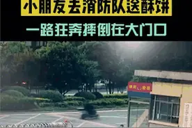8岁男孩一跤摔上热搜，原因好笑又心疼图片