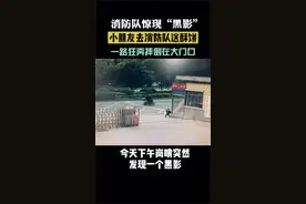 8岁男孩一跤摔上热搜，原因好笑又心疼图片