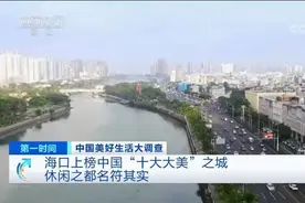 央视关注大美之城海口！年轻的95后幸福感最高图片