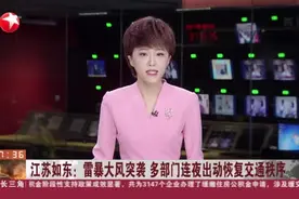 江苏如东：雷暴大风突袭  多部门连夜出动恢复交通秩序视频封面