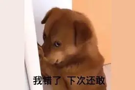 为什么男生一结婚就发胖？图片
