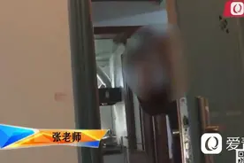 青岛大姐上门讨要课时费 钢琴老师竟以铁锤相向：“你这孩子那么笨和猪一样”图片
