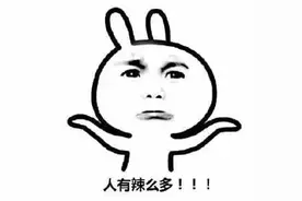 上海人很舍得为它们花钱！“五一”假期宠物寄养一晚要价三四百…网友：比人住酒店都贵...图片