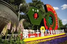 春光正好，微风不燥——八大处中国园林茶文化节等您来图片