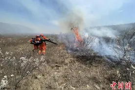 内蒙古巴林左旗发生森林火灾 明火已全部扑灭图片