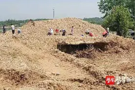 “火星部落亲子营”，带亲子家庭捡雨花石看火山遗址图片