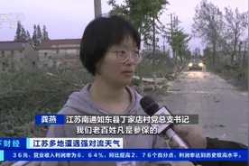 蔬菜大棚、成排瓦房被吹垮...江苏多地遭遇强对流天气 记者探访→图片