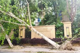 南通大风致11人不幸离世，幸存者：如果再晚点到家后果不堪设想图片