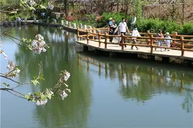 春光无限好 美景引客来图片