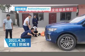 眼镜蛇钻进车辆引擎盖，汽修店拆车消防帮抓获视频封面